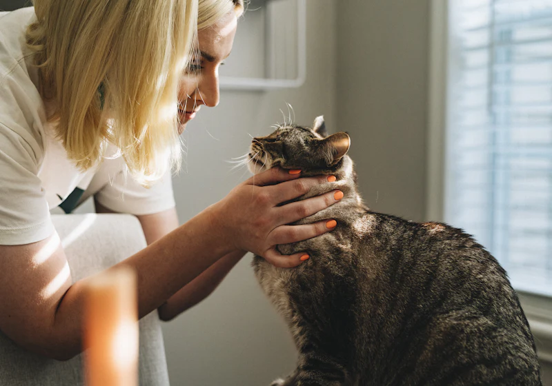 Veterinaria revisando con cariño a un gato en consulta
